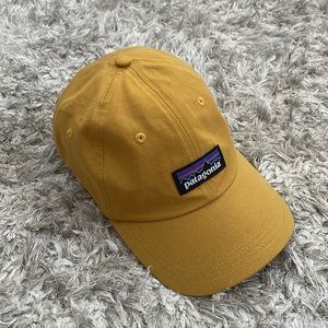 Patagonia P-6 Label Adjustable Hat